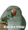 Даниил Конончук