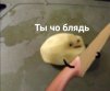 BeHuTo
