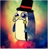 Makcyc_Dev
