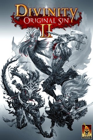 Divinity: Original Sin 2 Divinity: Original Sin 2