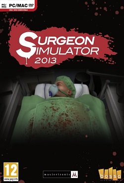 Surgeon Simulator 2013 Surgeon Simulator 2013