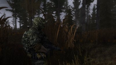 Сталкер В паутине лжи
