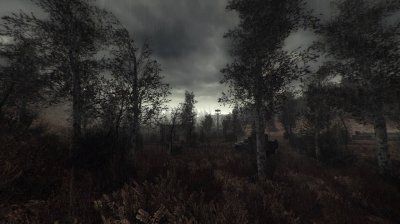 Сталкер Тень Чернобыля Darkest Time