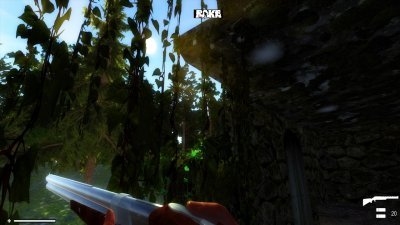 Rake Multiplayer