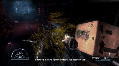 Aliens vs Predator 2010
