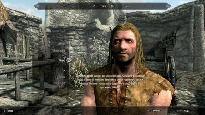 Skyrim Механики