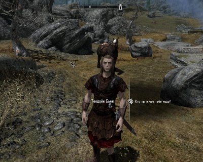 Skyrim с Модами