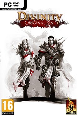 Divinity Original Sin Divinity Original Sin