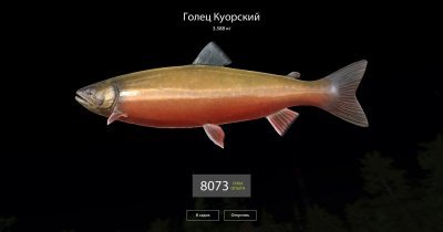 Русская Рыбалка 4