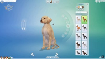Симс 4 Питомцы Хаттаб
