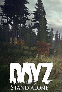 DayZ Standalone Пиратка и Сервера 2025