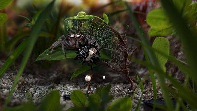 AntVentor