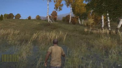 DayZ Standalone Пиратка и Сервера 2024