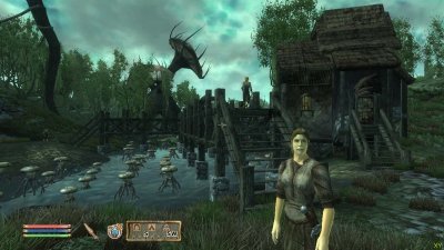 TES Oblivion Золотое издание