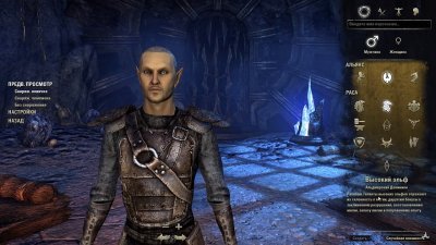 The Elder Scrolls Online Механики