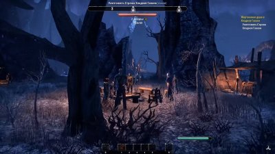 The Elder Scrolls Online Механики