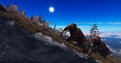 EBS Evolution Battle Simulator
