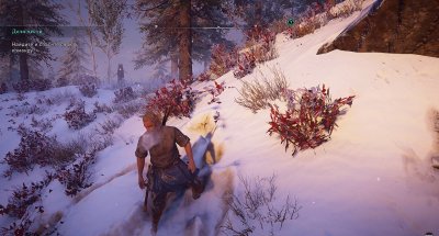 Assassin's Creed Valhalla Механики