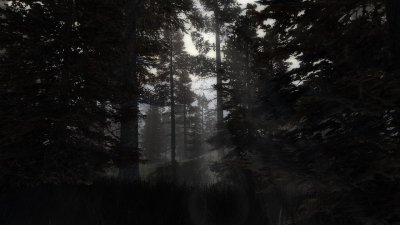 Сталкер Dark Path