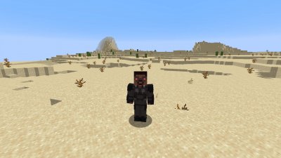Майнкрафт 1.16.4