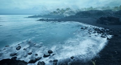 The Shore