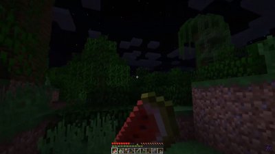 Майнкрафт 1.16.5
