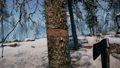Winter Survival Механики