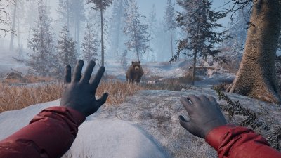 Winter Survival Механики