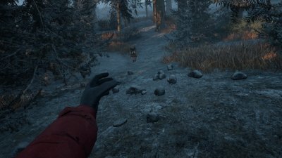 Winter Survival Механики