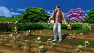 Симс 4 Загородная жизнь