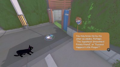 Little Kitty Big City